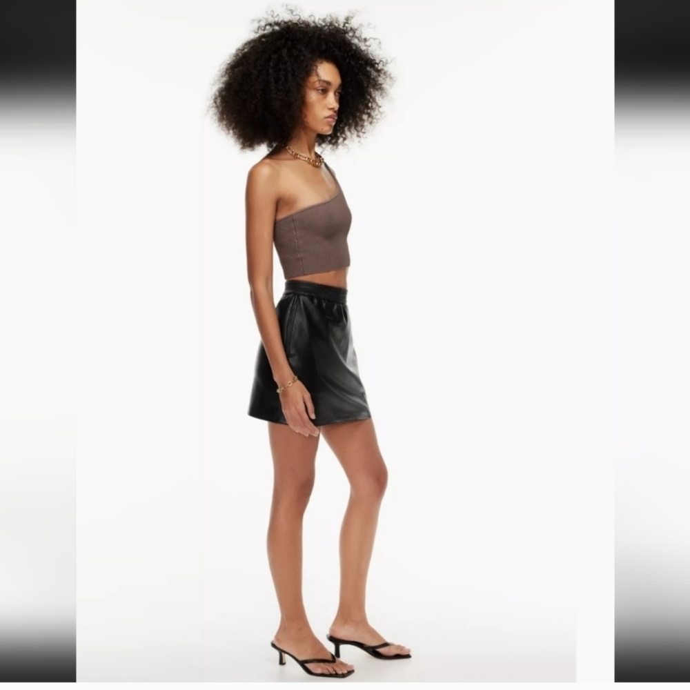 Babaton Skirts-Aritzia Black Flags Skirt-Size S-Faux Leather Skirt